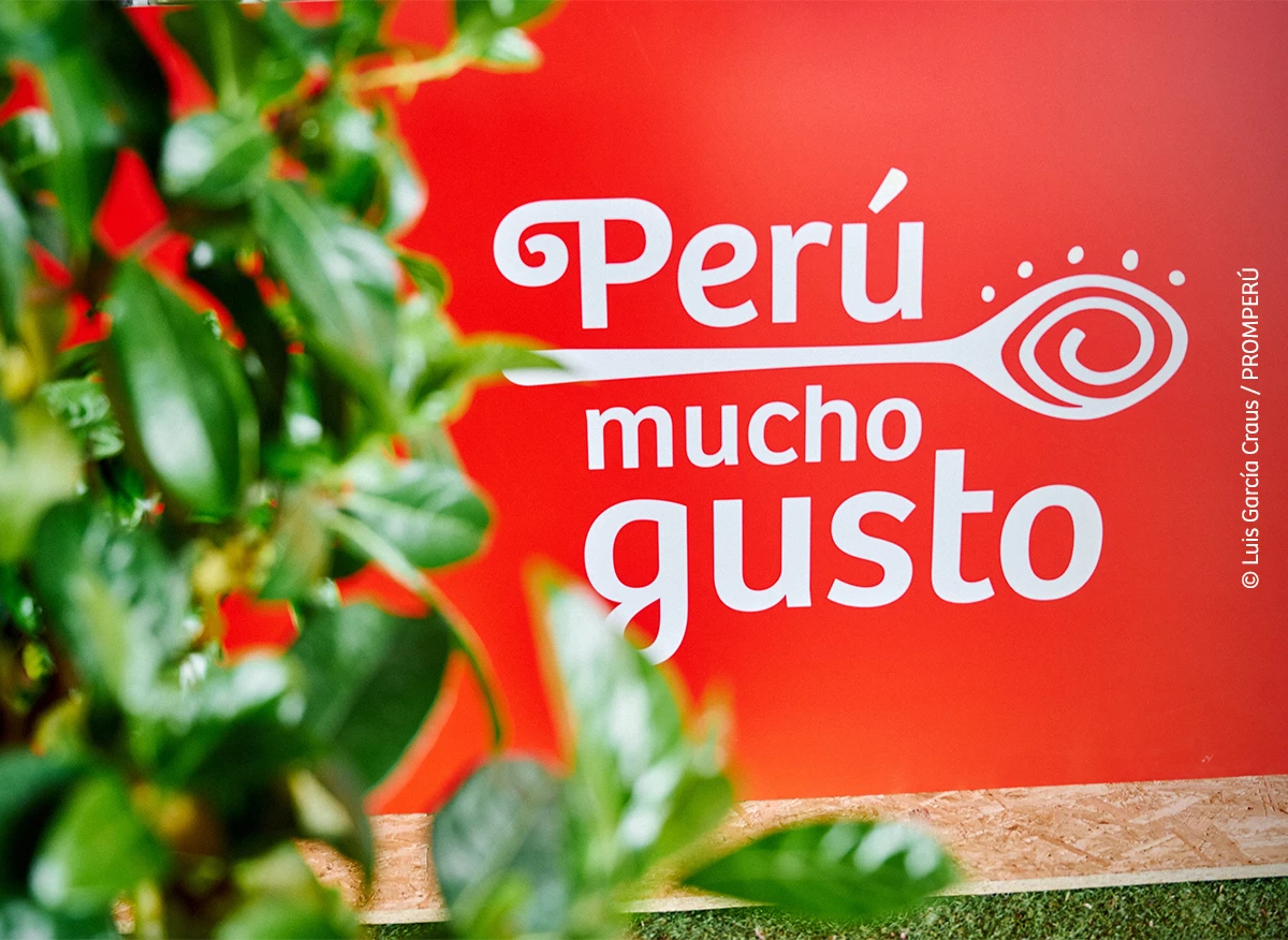 Recorre el Perú con sus platos bandera: aprende la receta en un minuto